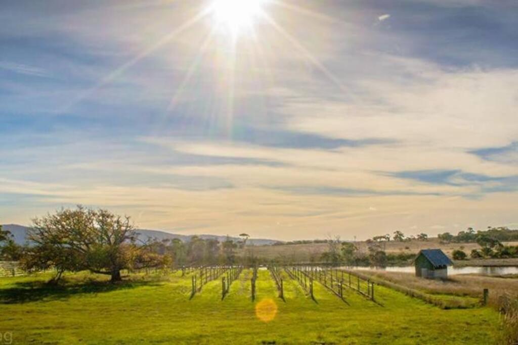 Villa *Newly Relisted* Coach House At Lisdillon Vineyard Little Swanport Exterior foto